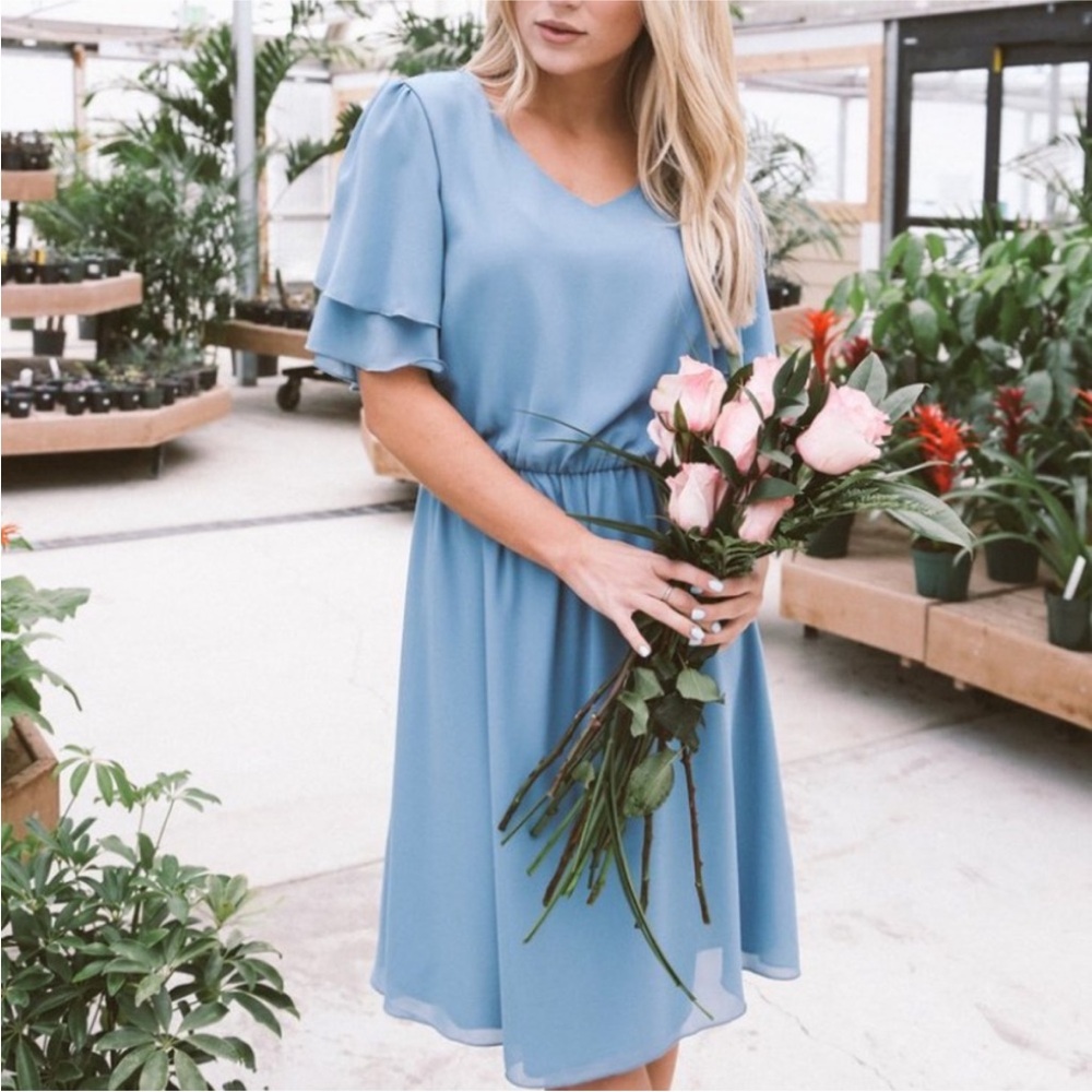 JessaKae Frances Chiffon Dress (BNWT)